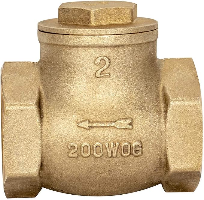 Eastman Brass Swing Check Valve, 2 Inch IPS, Brass Plumbing Fitting - Image 2
