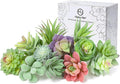 HappyHapi 12 Pcs Artificial Succulents, Mini Fake Plants Unpotted | Flocked by Happyhapi