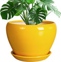 Ceramicfor Ceramic Planter by Ceramicfor