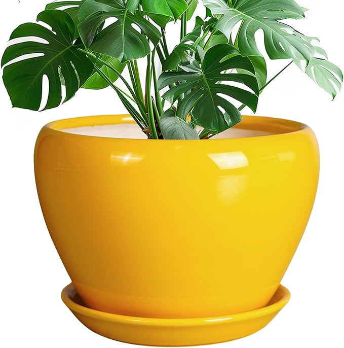 Ceramicfor Ceramic Planter by Ceramicfor