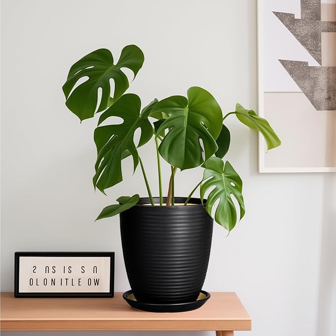 Ceramic Plant Pot - Image 2