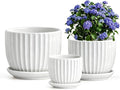 White Plant Pots, Ceramic Flower Pot Set of 3 by TonSin
