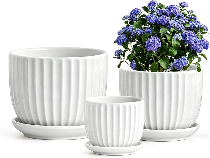 White Plant Pots, Ceramic Flower Pot Set of 3 by TonSin