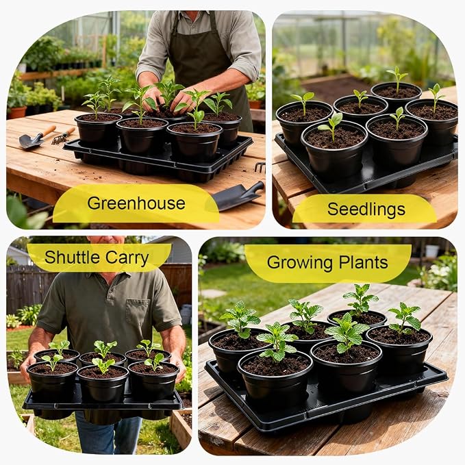 RooTrimmer 6 Inch Plastic Plant Pots 30 Pack and 6 Cell Nursery Pots Trays 5 - Image 7