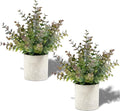 Coferset 2 Pack Small Fake Plants Eucalyptus Potted by Coferset