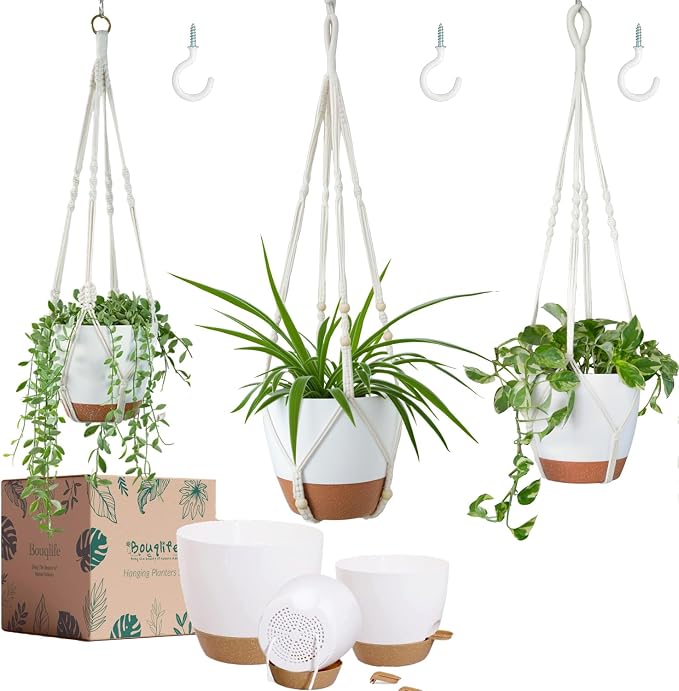 3 Pack Self Watering Hanging Planters by Bouqlife