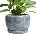 SQOWL 8 inch Plant pots Indoor by SQOWL