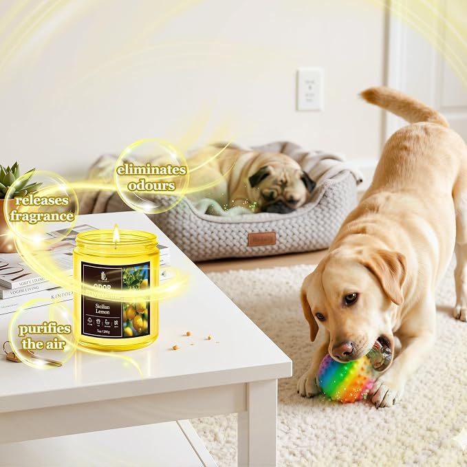 Sicilian Lemon Odor Eliminating Highly Fragranced Candle, Eliminates 95% of - Image 2