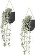 Dahey 2 Pack Wall Planter Vase by Dahey