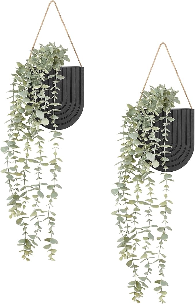 Dahey 2 Pack Wall Planter Vase by Dahey