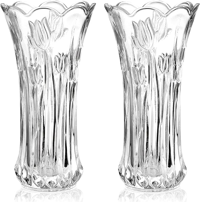 Dicunoy Set of 2 Glass Flower Vase, 9.5" Large Flower Vases by Dicunoy