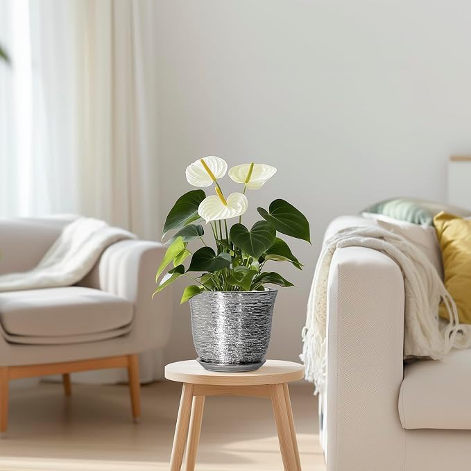 5.6 Inch Plant Pot - Image 7