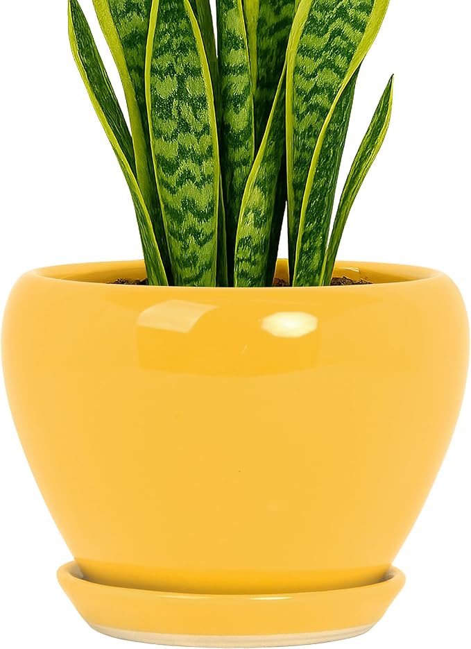 Deep Dream 8 Inch Plant Pots- Ceramic Pots by DeepDream