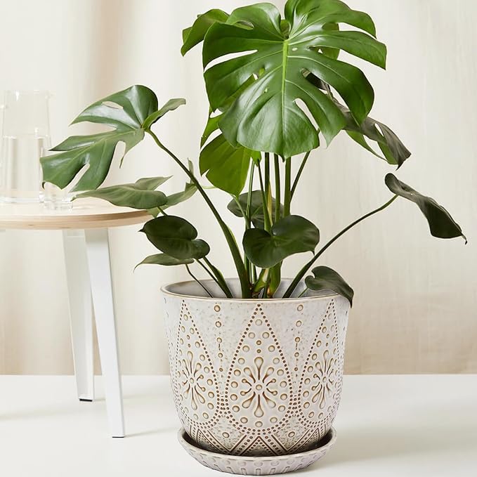 Gepege 10 Inch Ceramic Plant Pot - Image 6