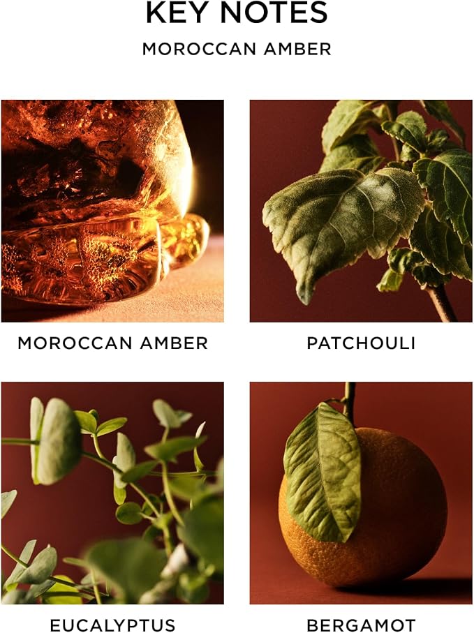 NEST New York Scented 3-Wick Candle, Moroccan Amber - Image 4
