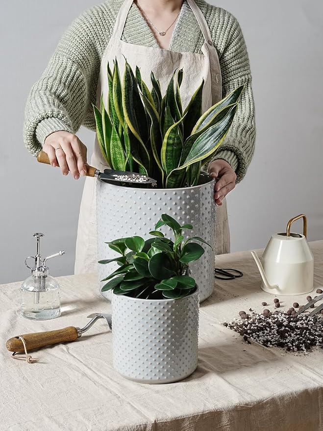 LE TAUCI 10+8+6 Inch Ceramic Pots - Image 2