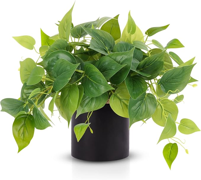 JPSOR Artificial Indoor Plants for Home Decor, 12 inches Pothos in Black by JPSOR