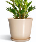 Ceramic Planter, 10 Inch Plant Pot by SUNPOTFOR