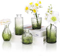 5pcs Green Glass Bud Vase Set, Small Flower Vases by Fixwal