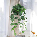 alyptus Fake Hanging Plants Artificial Decor Indoor Realistic Silk Devil's Ivy by ALYPTUS