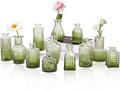 Set of 12 Glass Bud Vase Set, Small Vintage Clear Flower Vase Centerpieces by HAISIWLKJ