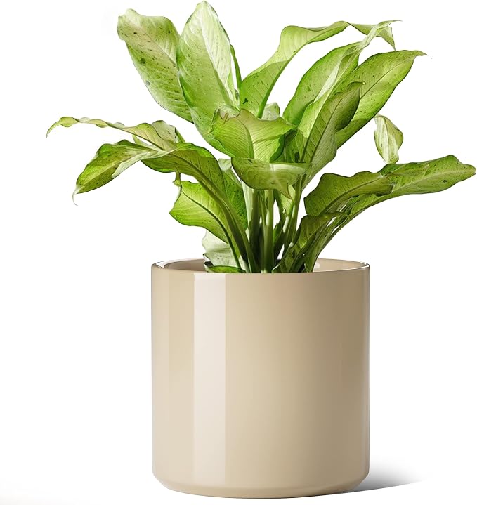 LE TAUCI 12 Inch Pot for Plants, Ceramic Planters for Indoor Plants, - Image 7