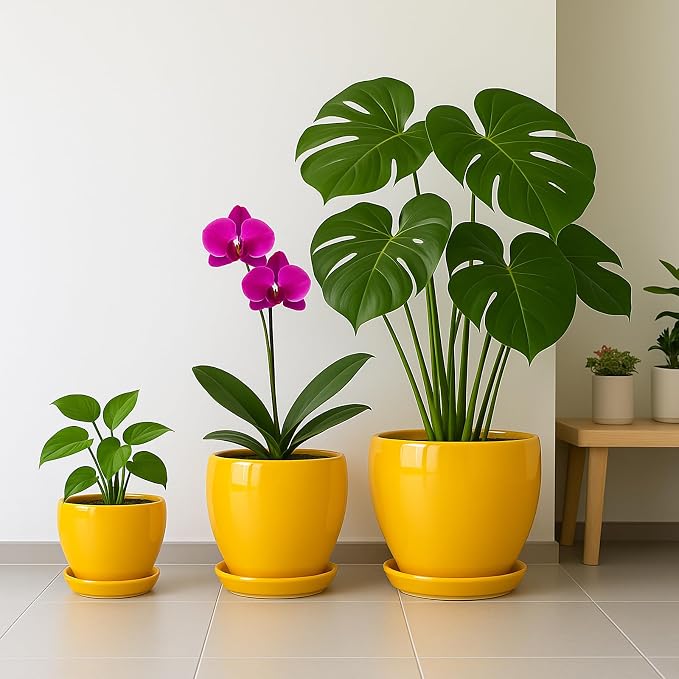 Deep Dream 10 Inch Plant Pot- Ceramic Planter Pot Round Plant Pots - Image 5
