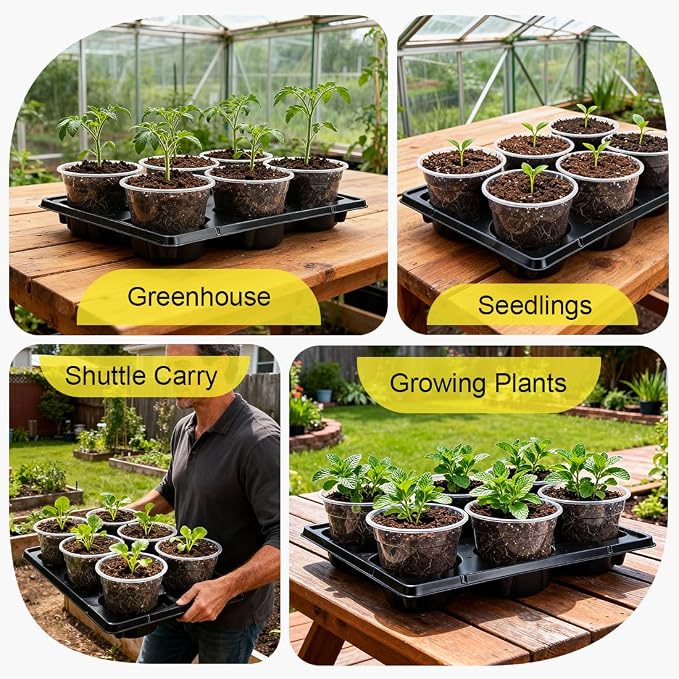 RooTrimmer 30 Pack 6 Inch Clear Nursery Pots and 5 Pack 6 Cell Round Plant Pot - Image 7