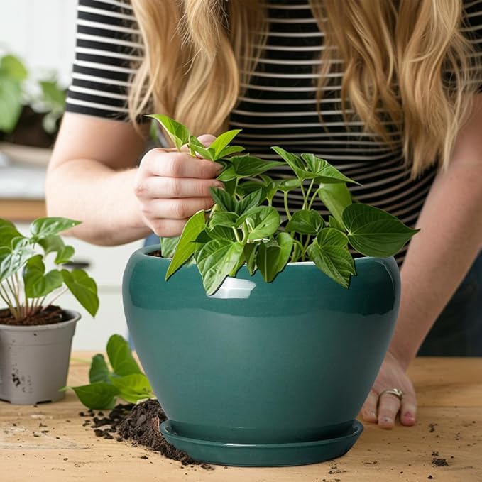 Ceramicfor 8 Inch Plant Pot - Image 5