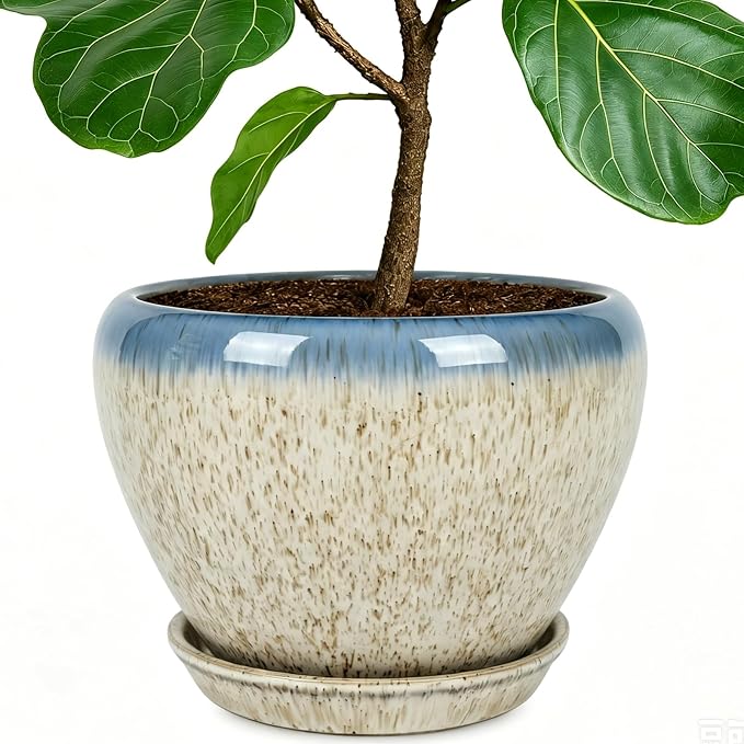 Deep Dream 10 Inch Plant Pot- Ceramic Planter Pot Round Plant Pots by DeepDream