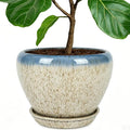 Deep Dream 10 Inch Plant Pot- Ceramic Planter Pot Round Plant Pots by DeepDream