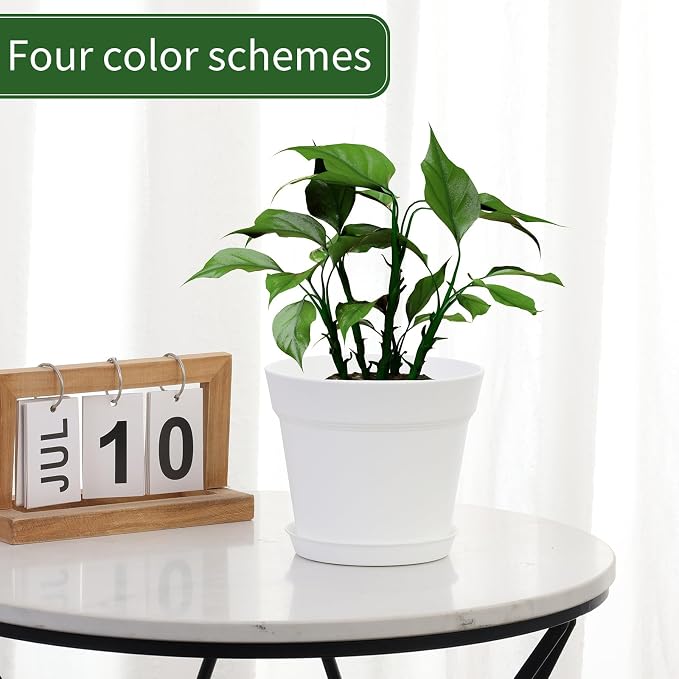 20 Pack 6 inch Plant pots, planters - Image 5