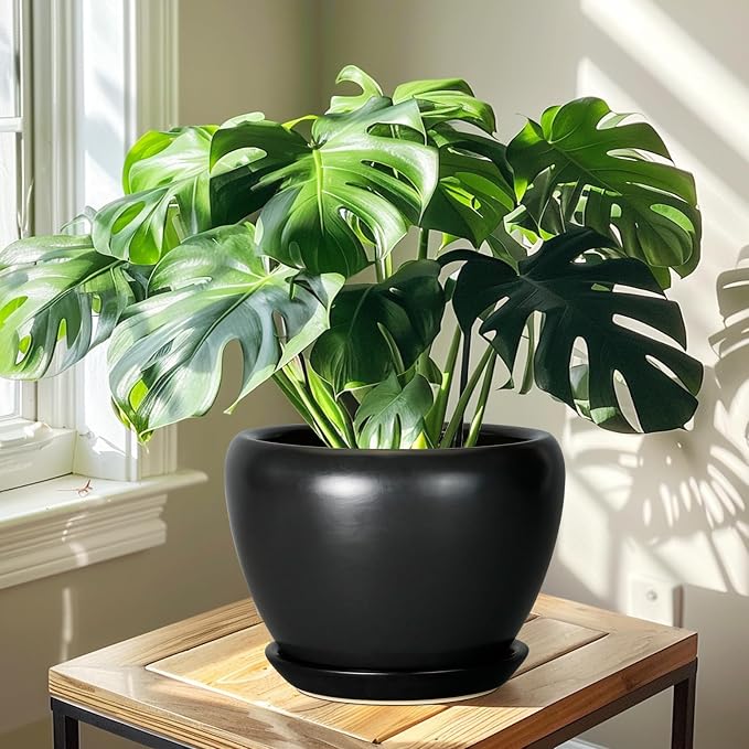 Ceramicfor Ceramic Pot for Plants - Image 6