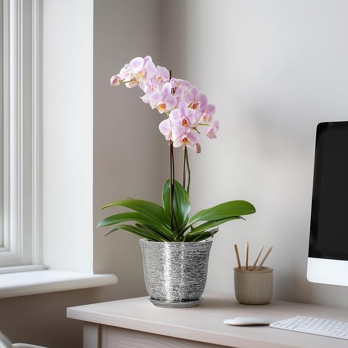 5.6 Inch Plant Pot - Image 3