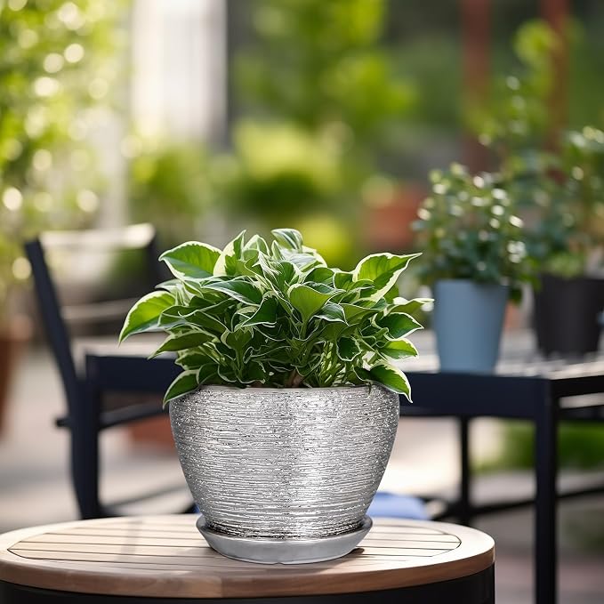 Ceramicfor Ceramic Planter - Image 2