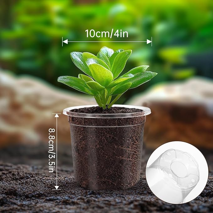 30 Pack Clear Nursery Plant Pots, 4 Inch - Image 4