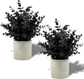 Coferset 2 Pack Small Fake Plants Eucalyptus Potted by Coferset