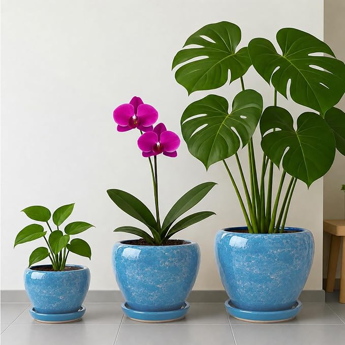Deep Dream 6 Inch Plant Pots- Ceramic Planter Pot - Image 7