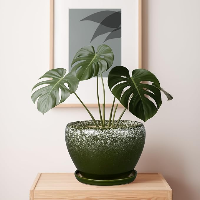 Ceramicfor 10 Inch Planter Pot - Image 4