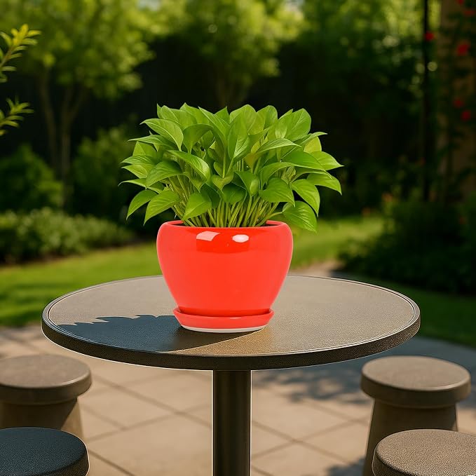 Deep Dream 6 Inch Plant Pots- Ceramic Planter Pot - Image 3