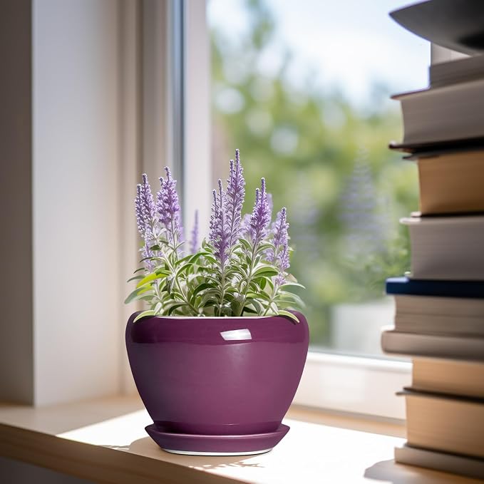 Ceramicfor Ceramic Pots for Plants 6 Inch - Image 2