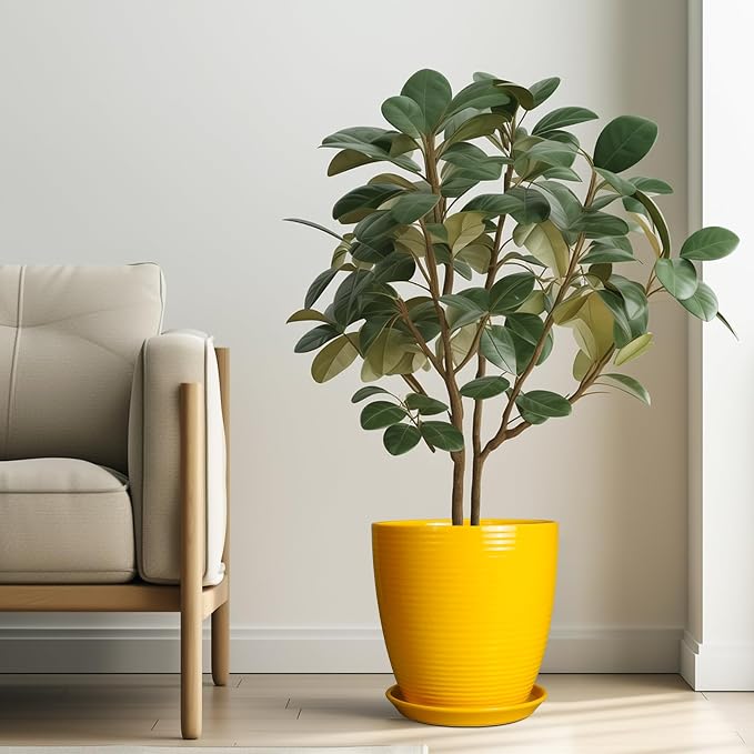 10 Inch Plant Pot - Image 2