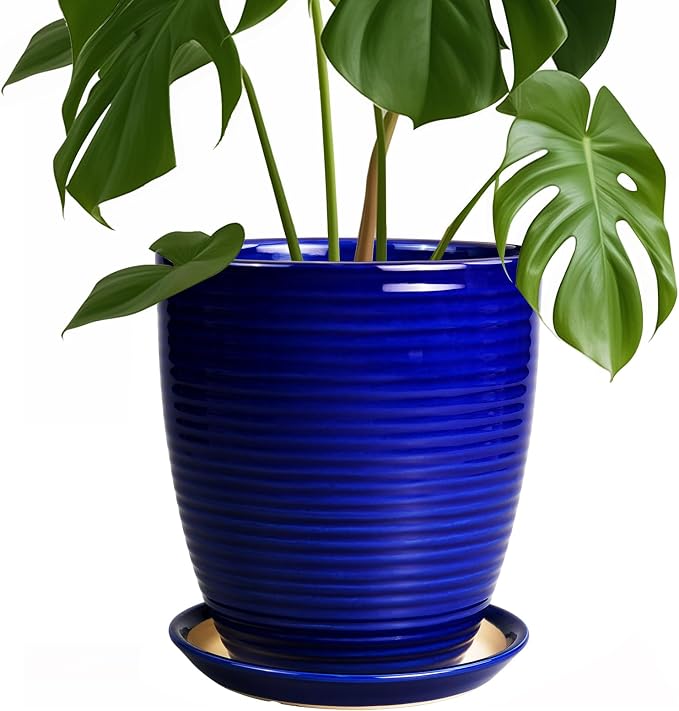Round Ceramic Planter by EPFamily