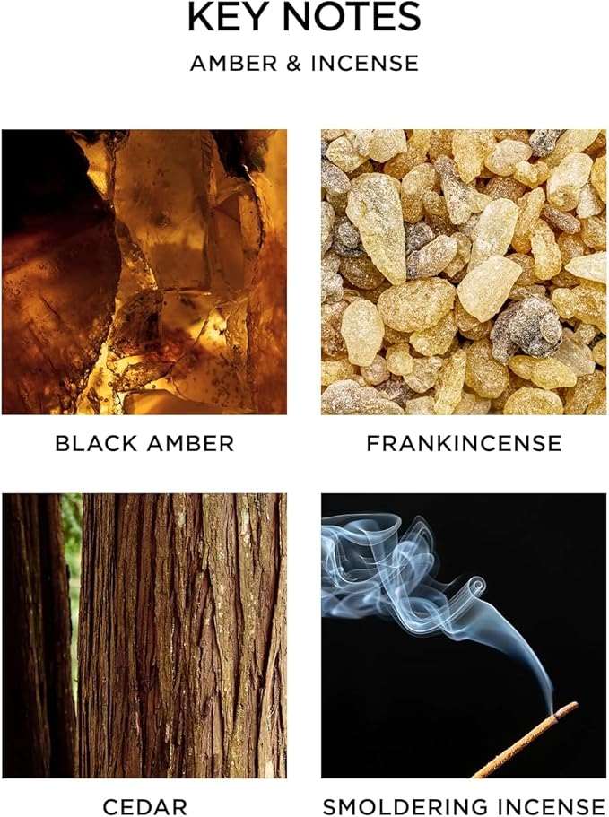 NEST New York Scented Classic Candle, Amber & Incense - Image 3