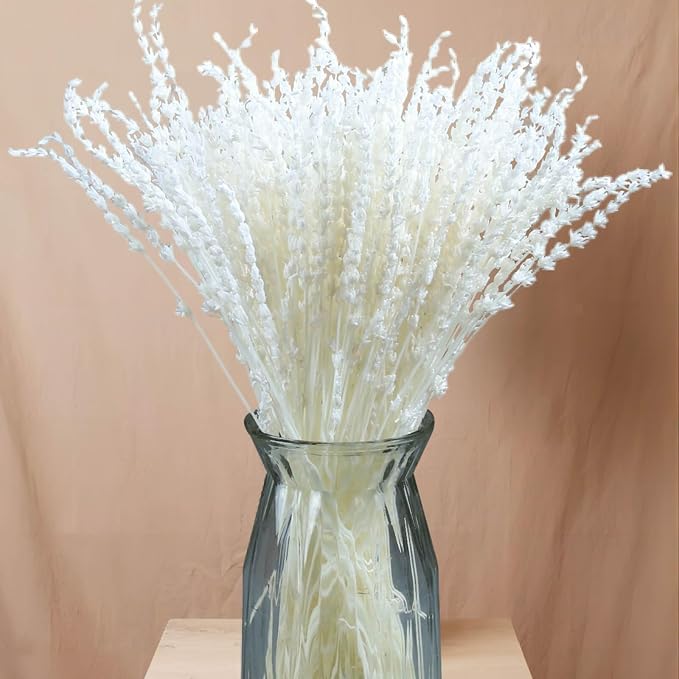 Glicrili Dried Lavender Flowers Real Stems White Bouquet by Glicrili
