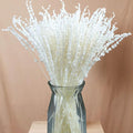 Glicrili Dried Lavender Flowers Real Stems White Bouquet by Glicrili
