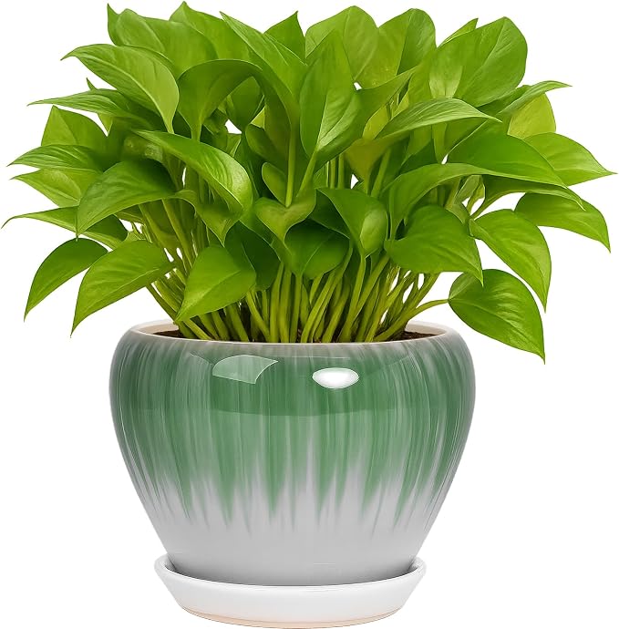Deep Dream 6 Inch Plant Pots- Ceramic Planter Pot by DeepDream