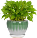 Deep Dream 6 Inch Plant Pots- Ceramic Planter Pot by DeepDream