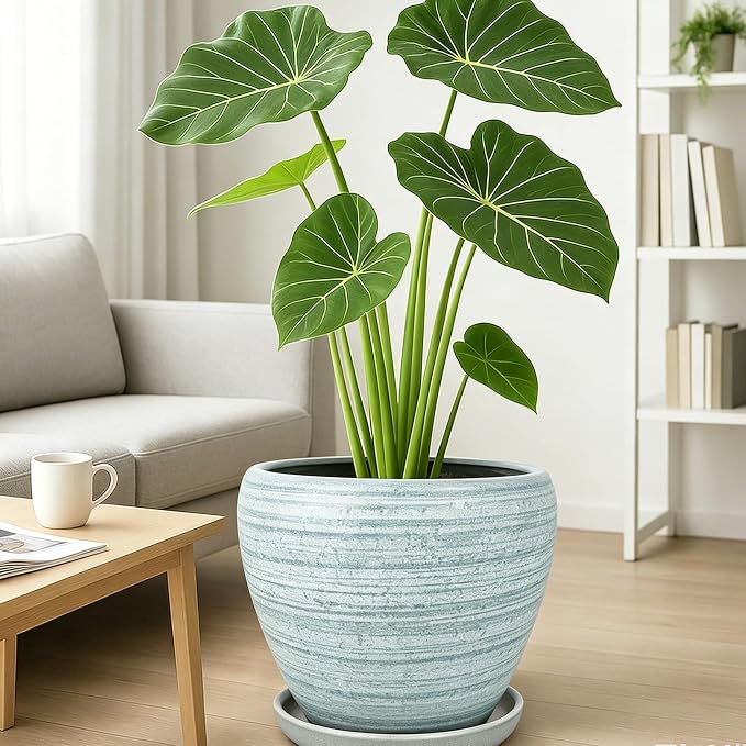 Deep Dream 10 Inch Plant Pot- Ceramic Planter Pot Round Plant Pots - Image 4
