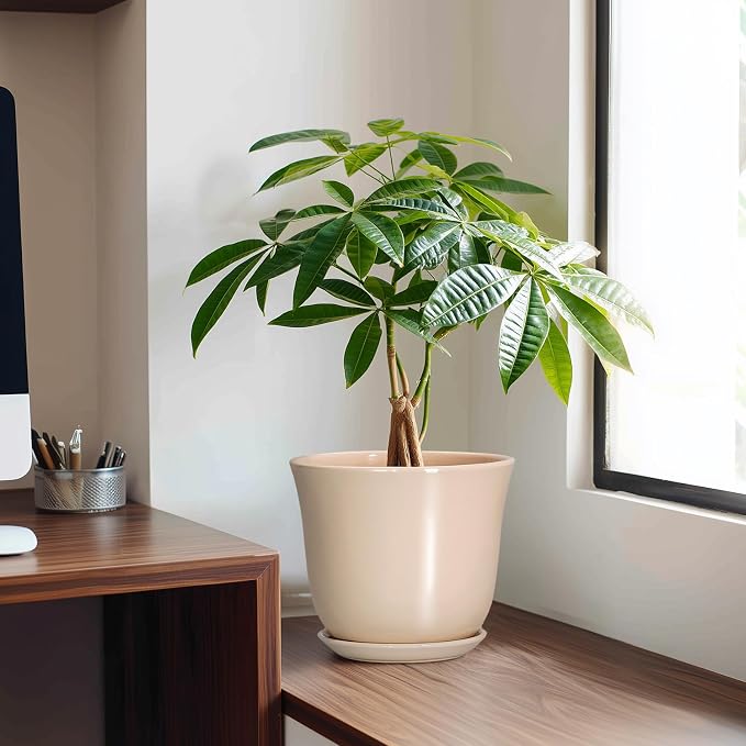 8 Inch Plant Pot, Ceramic Pots for Plants Indoor, Modern Decorative Planters - Image 3